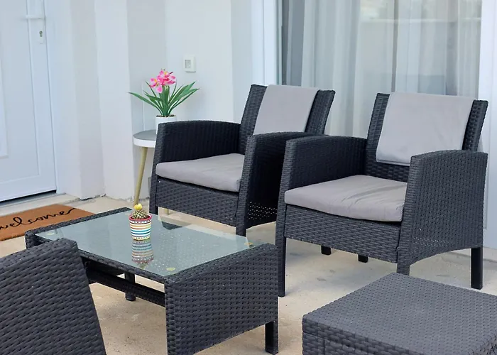 Temida * Рованьска