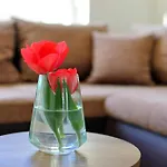 Apartamento Temida Rovanjska
