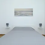 Temida * Rovanjska
